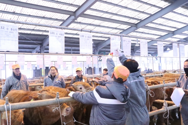 부여가축시장 전경