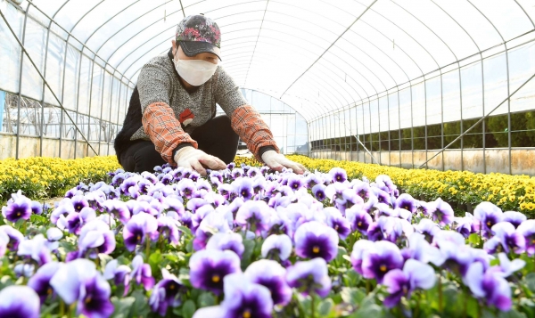 정생동 화훼포