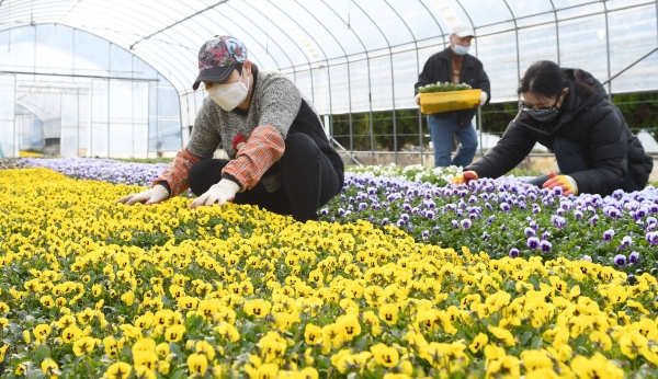 정생동 화훼포