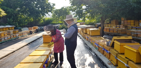 신규농업인 현장실습교육 장면