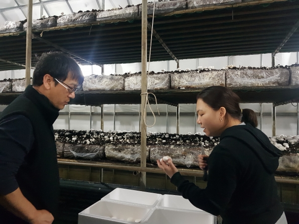 신규농업인 현장실습교육 장면