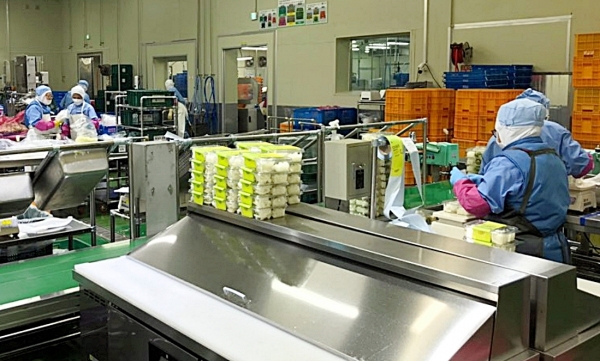 반가공식품 제조업체 현장사진