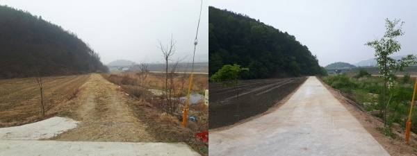 청양군, 농업 생산기반시설 정비사업 착수-(좌)정비 전, (우)정비 후 모습