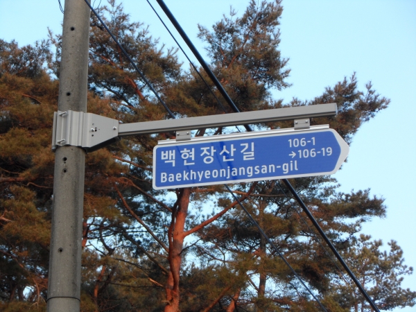 보행자용 도로명판 설치장면