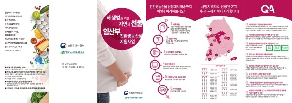 임산부 친환경 농산물 지원 리플렛