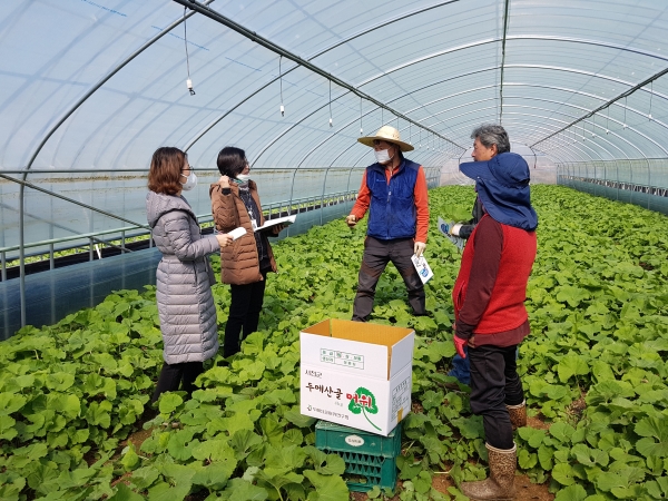 성공 귀농을 위한 현장실습 교육 모습