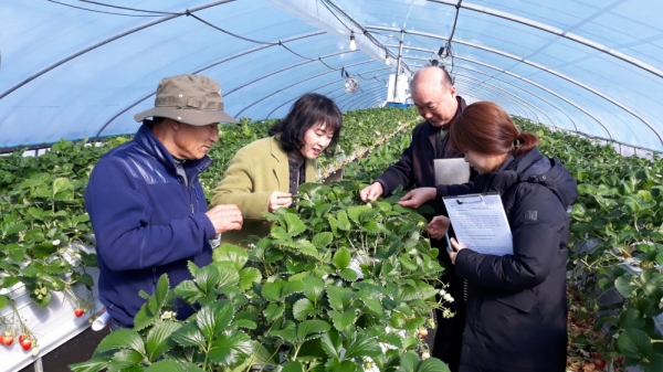 농촌지도 역량강화 프로젝트 관련 모습