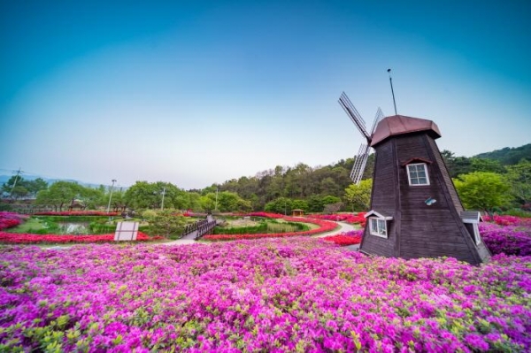 대전스카이로드에서 '대청호오백리길 사계절 사진공모' 영상전 개최