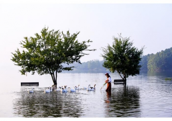 대전스카이로드에서 '대청호오백리길 사계절 사진공모' 영상전 개최