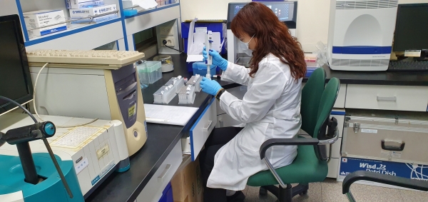 친들벼 종자_유전자 분석 모습