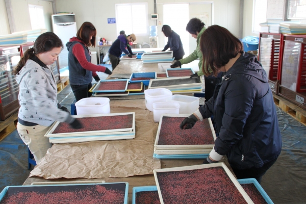 배 꽃가루 채취센터 모습