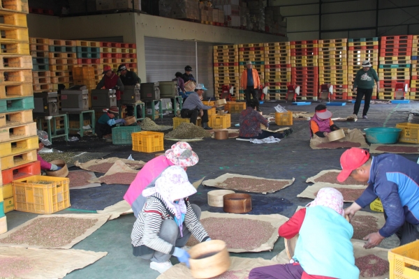 배 꽃가루 채취센터 모습