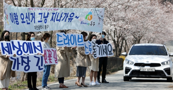 대전 동구청 직원들이 31일 대청호 벚꽃길 일원에서 사회적 거리두기 캠페인을 전개하고 있다