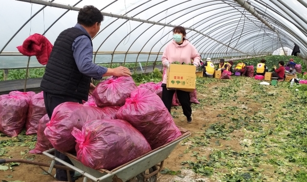 세종시 농산물팔아주기 운동 전개