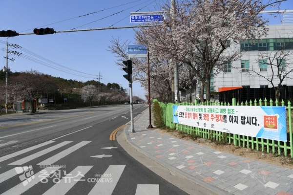예산읍 벚꽃로 일원에 설치된 침 뱉기와 주정차 금지 현수막 모습