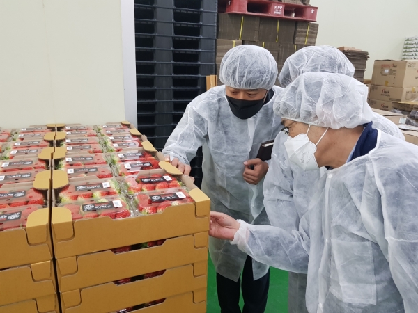 논산농협 딸기 공선회 ASIA GAP(Asia Good Agricultural Practices, 아시아 우수관리제도)인증