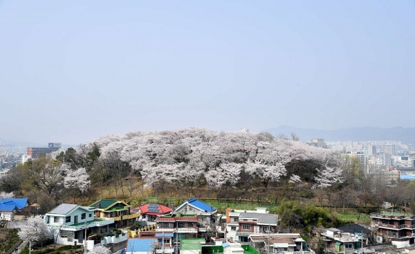 테미근린공원 전경