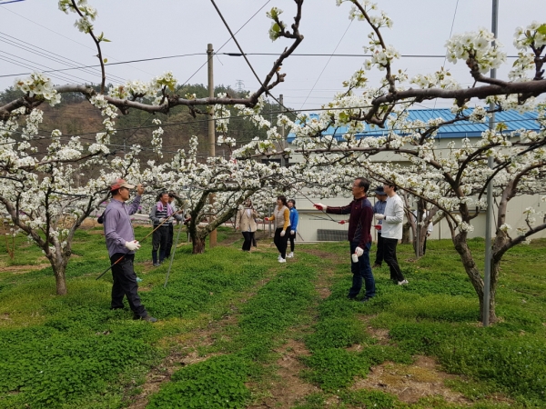 코로나19 장기화로 인력 수급에 어려움을 겪고 있는 농가를 위해 봄철 일손 돕기 추진창구 운영