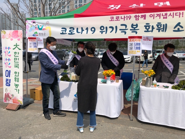 세종시와 함께 프리지아 소비촉진 행사 개최 모습