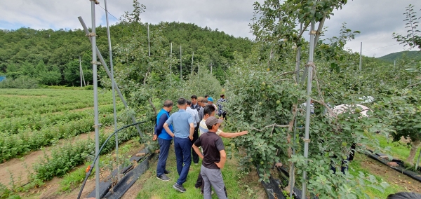 농작업 안전관리 시범단체로 칠갑산사과연구회 선정 (지난해 사과과수원 현장 지원 모습)