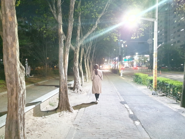 태평초 일원 가로등 설치 후