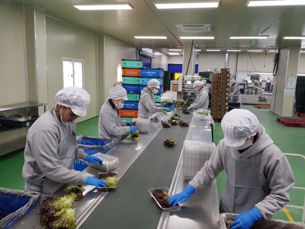 온라인쇼핑 주문 소포장 작업