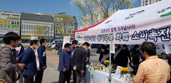 지난 주말 세종시에서 프리지어 특판행사