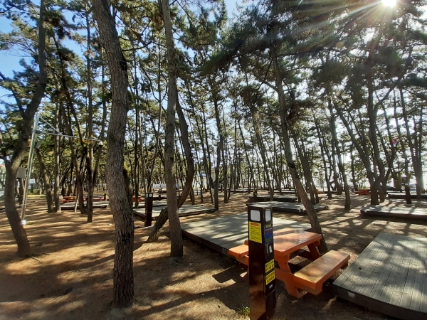 대천해수욕장 야영장