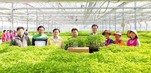 김돈곤 청양군수 농가공급용 고추모종 점검