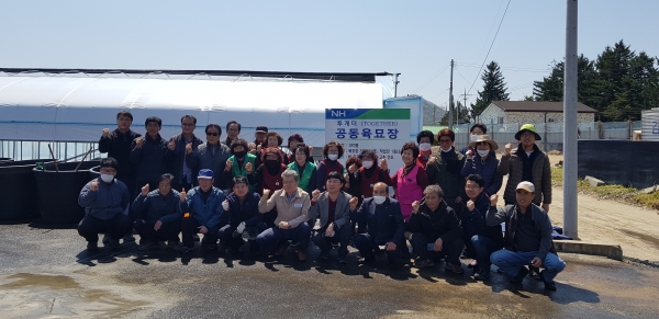 공동육묘장 농촌일손돕기 진행