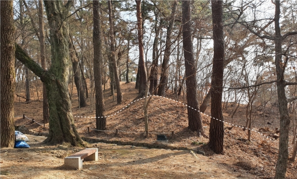 서문지 남동쪽 성벽 근경