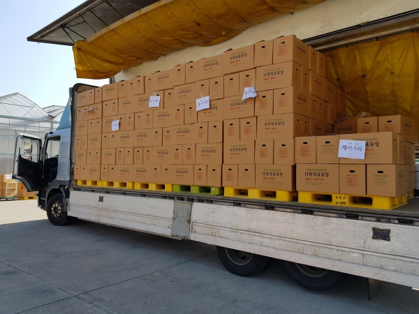 청양군, 우량 고추모종 100만 주 배송 완료