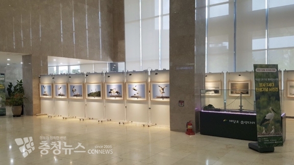황새 사진 전시회 모습