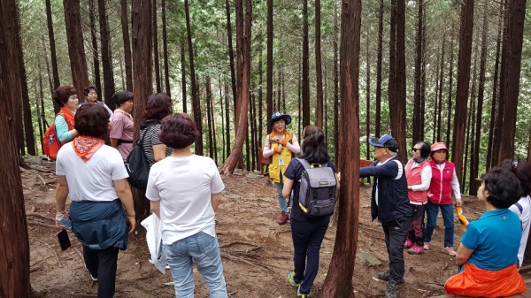 지난해 숲해설 프로그램 운영 장면