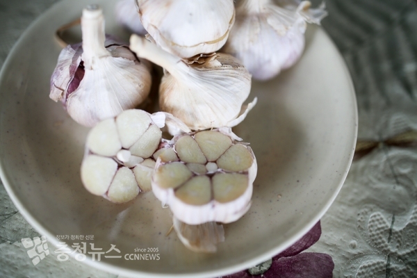 지난해 한 농가에서 수확한 홍산마늘