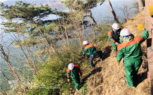 공익산림가꾸기 작업 모습