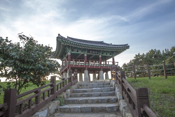 마량리 동백나무숲 재개장… 다시 돌아온 서해의 일몰 광경