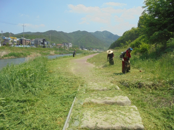 지난해 예조사업 모습.