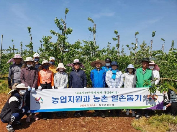 서산시청 공무원들이 농촌일손 돕기 자원봉사를 하고 있다.