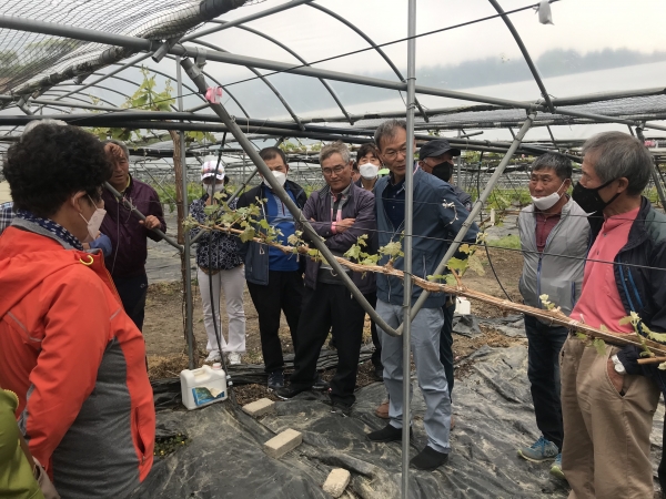 부여군, 수출포도 고품질 재배관리 기술교육