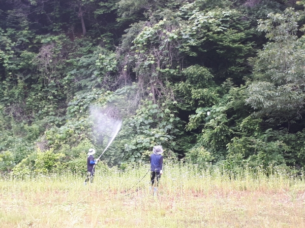 돌발해충 방제 장면