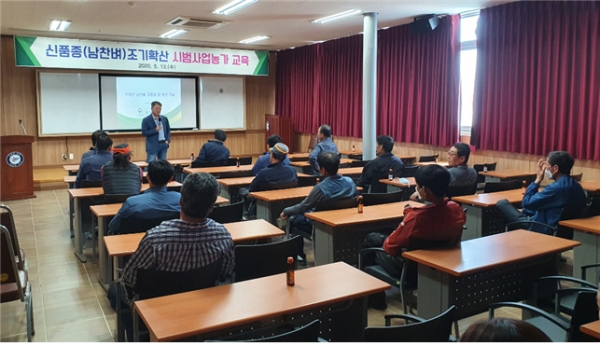 벼 신품종 도입 교육장면