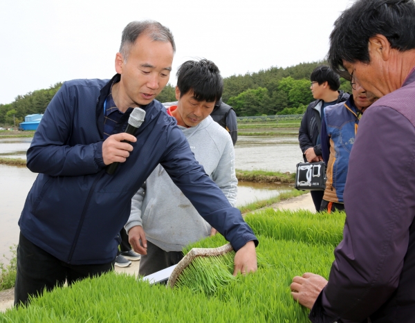 지난 14일 태안읍 삭선리 ‘드문모심기’ 현장 연시회 모습.