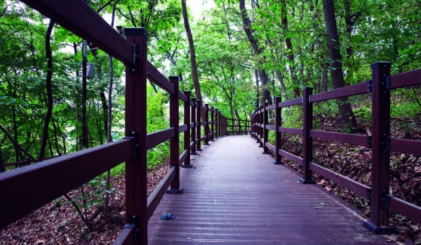 충북대병원 무장애나눔길