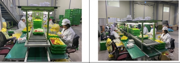 지난 5월 초 관내 신규 농산물전문생산단지로 지정된 모두유통농업회사법인(주)