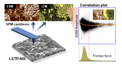 다양한 기능을 활용한 원자간력 현미경 분석 기술의 모식도