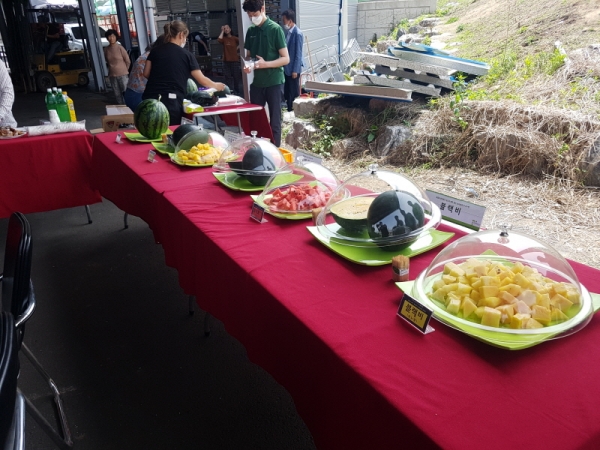 특수(미니)수박 품평회 개최