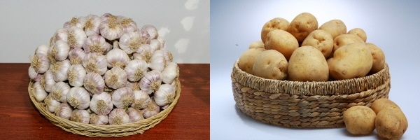 서산 6쪽마늘,  팔봉산 감자