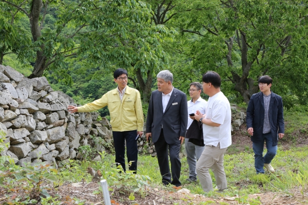 문정우 금산군수 문화재보수정비 현장점검
