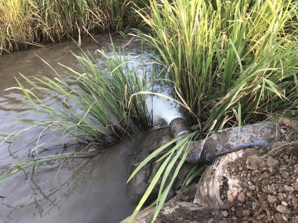 직접급수모습(전남 영암 신흥들보)